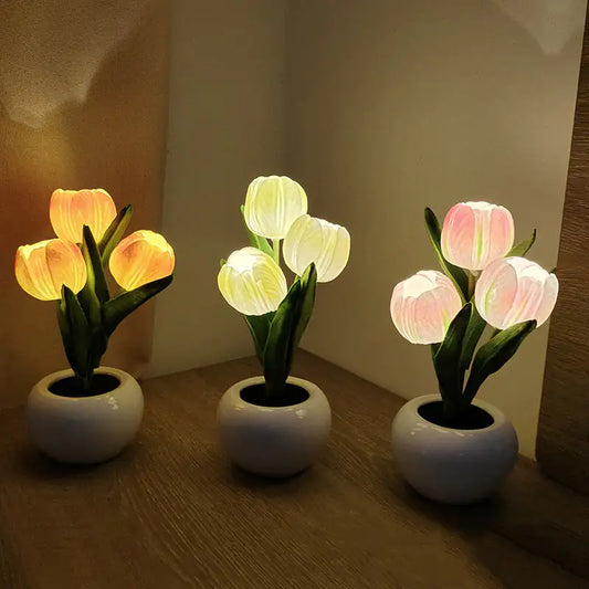 Luz nocturna de tulipanes bonsái